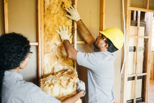 Best Fiberglass Insulation  in Goodhue, MN