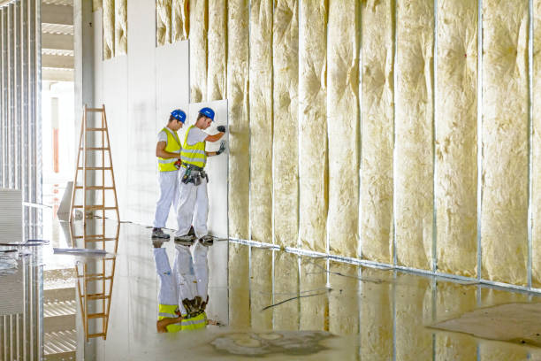 Best Local Insulation Services  in Goodhue, MN